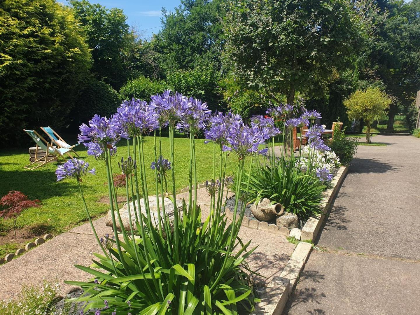 La Bremande Bed and Breakfast Saint-Georges-de-Reintembault Exterior foto